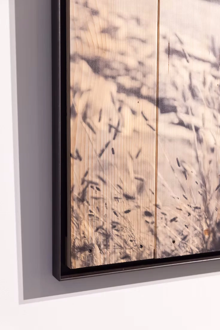 Mucca al Piz Uccello - alternate view